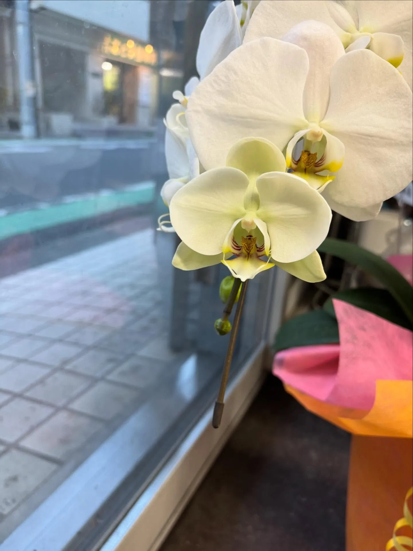 【2月分スケジュール更新致しました！】